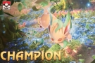 Leafeon Playmat